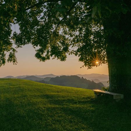 Vegan Health Hotel Sonnenberg Glutenfrei Schwellbrunn Exteriér fotografie