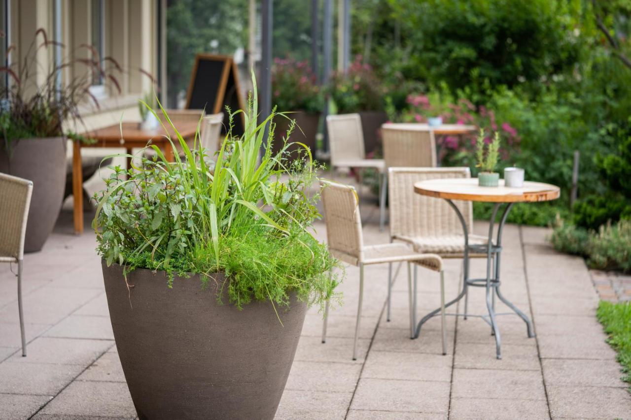 Vegan Health Hotel Sonnenberg Glutenfrei Schwellbrunn Exteriér fotografie